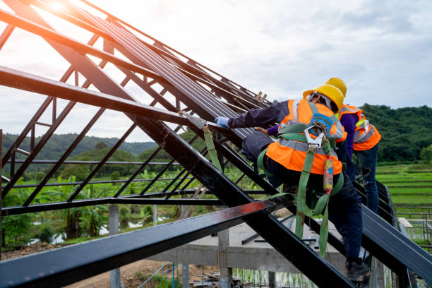 Quick and Trustworthy Emergency Roof Repair Services in Wisner, NE