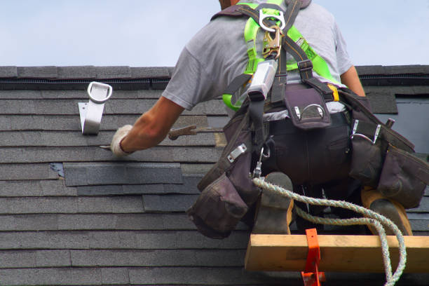 Best Roof Gutter Cleaning  in Wisr, NE