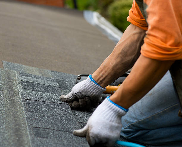 Best Roof Maintenance Services  in Wisr, NE