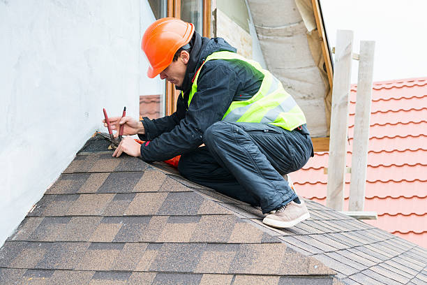 Best Roof Waterproofing Services  in Wisr, NE